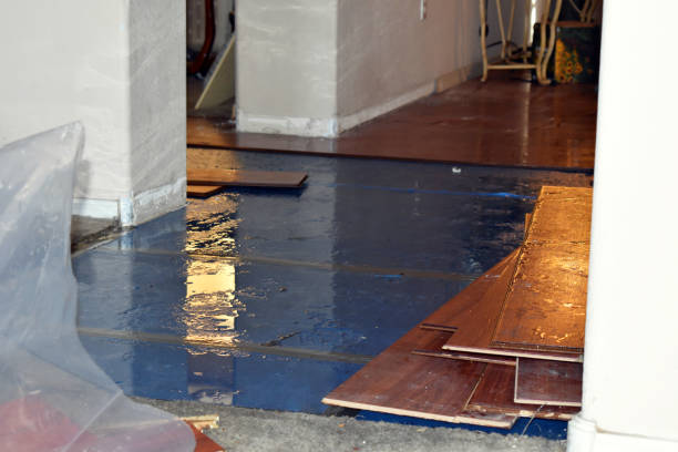 Professional Water Damage technician working in Randolph, MA