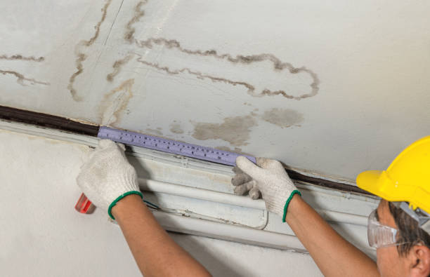 Reliable Water Damage contractor in Randolph, MA by Water Damage Irwin